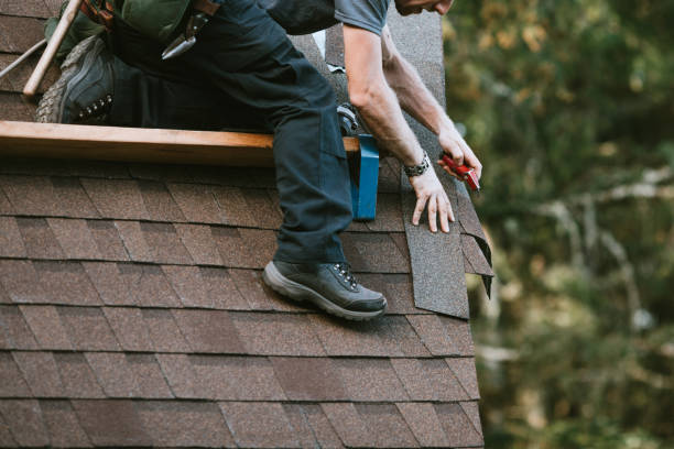 Roof Gutter Cleaning in Farragut, TN